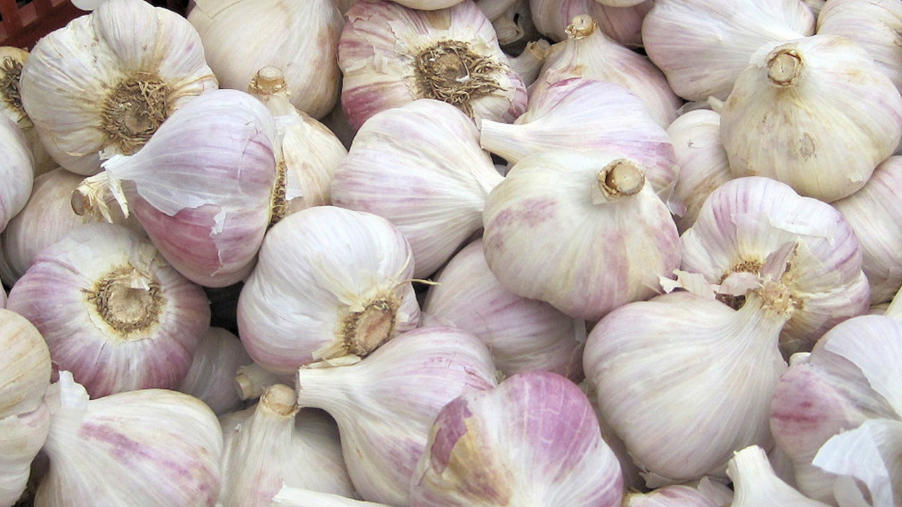 Cloves of garlic